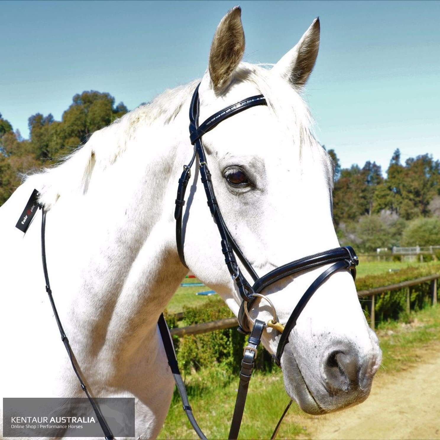 Kentaur 'Summerville' Hanoverian Bridle – ProHorse