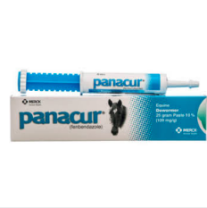 panacur-for-horses
