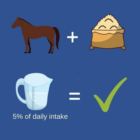 how-much-bran-to-feed-a-horse
