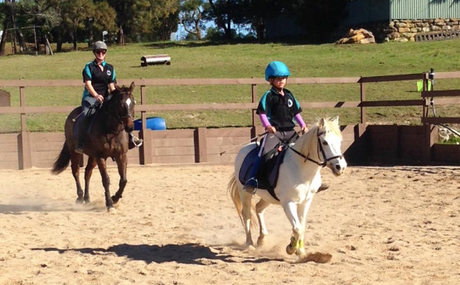 shellby-equestrian-centre