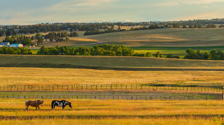 Best Fencing & Gates for Horse Farms