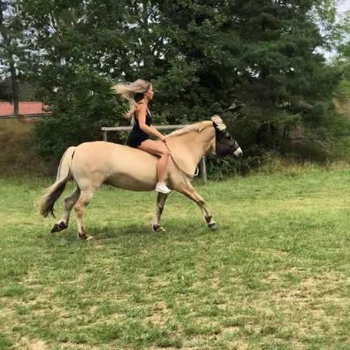 how-to-canter-bareback