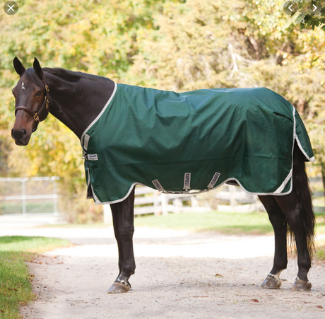 Unlined Canvas Horse Rugs