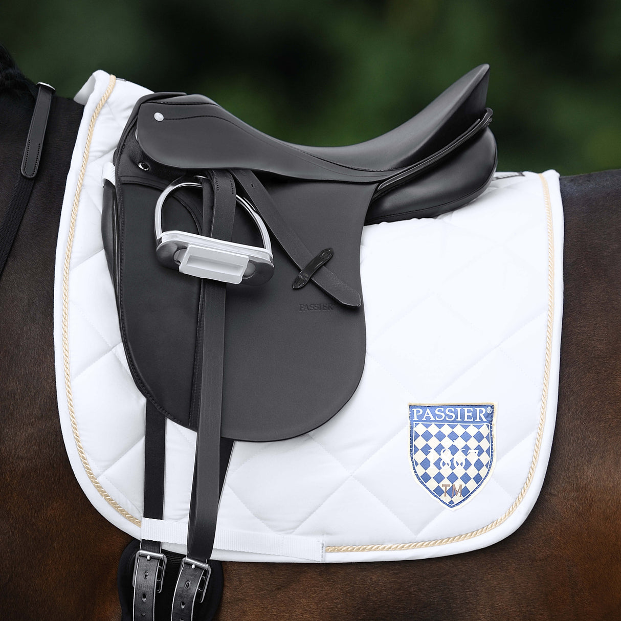 Passier Young Star Dressage Saddle - Brown