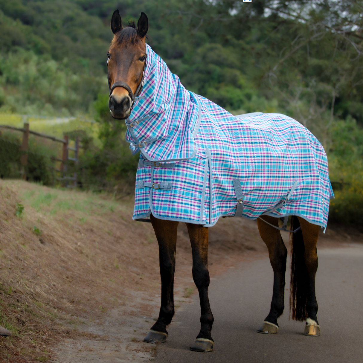 shade cloth horse rug