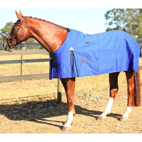Unlined Canvas Horse Rug-RUGZ
