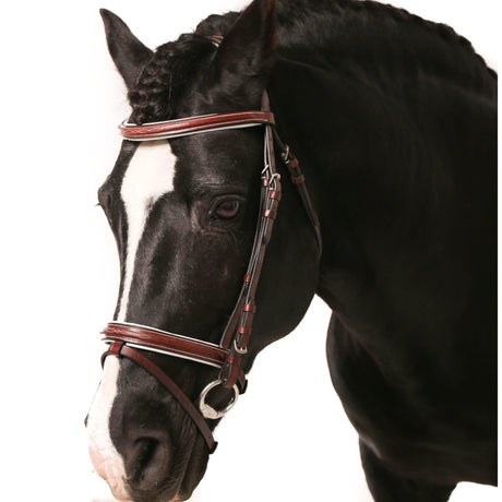 a close up of a horse wearing a harness 