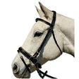a close up of a horse wearing a harness 