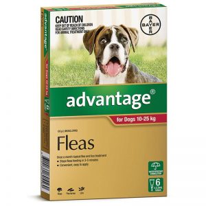 Bayer - Advantage - Flea Control - Dogs 10kg - 25kg - 6 x 2.5ml
