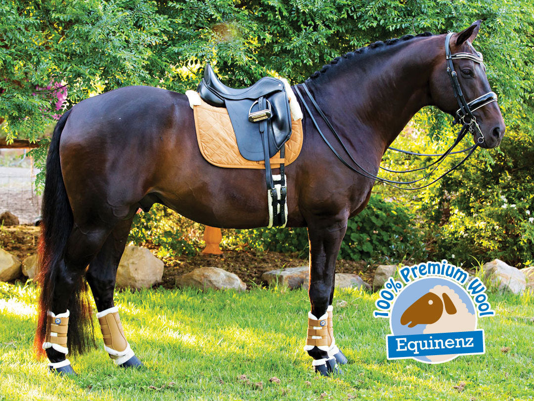 Equinenz Breathable Wool Brushing Boots