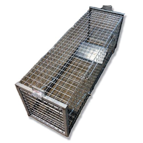 Fox and Boar Cage Trap