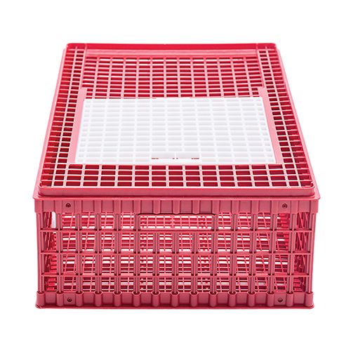 Poultry Transport Crate - Chick/Quail