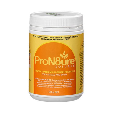 ProN8ure Soluble (Protexin) - Orange - Special Order Only - 500gm