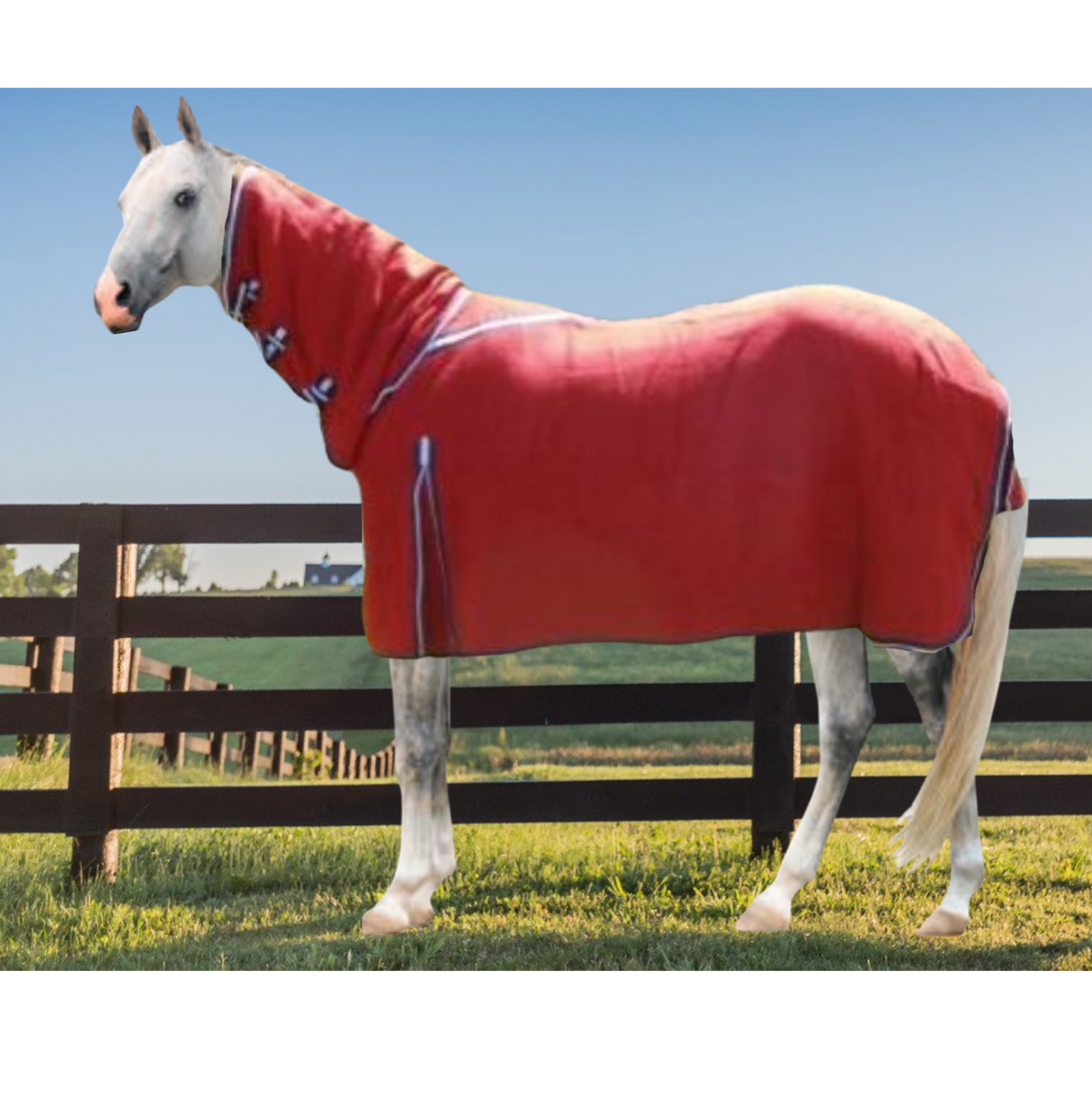 Woolen Horse Combo - Red