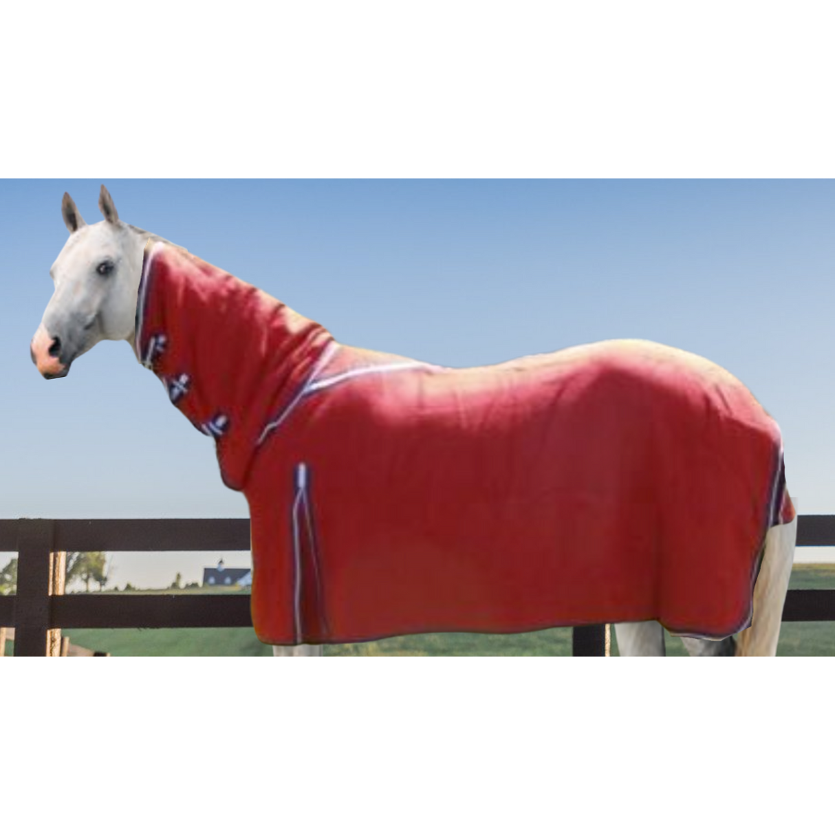Woolen Horse Combo - Red