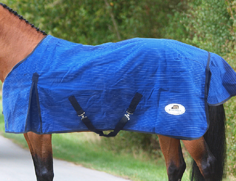 Canvas Horse Rug - Lined