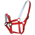 PVC Halter - Red-Ascot Equestrian