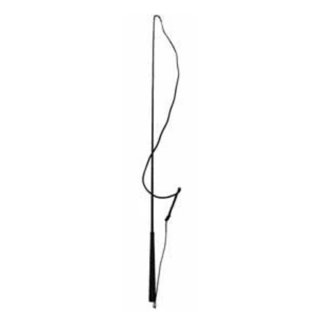 Lunge whip-Ascot Equestrian