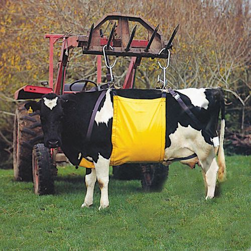 Supreme Cow Lifter - Standard Size
