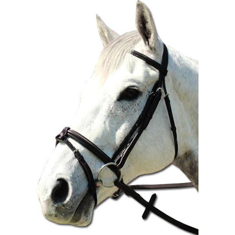 a white horse with a harness on its nose 