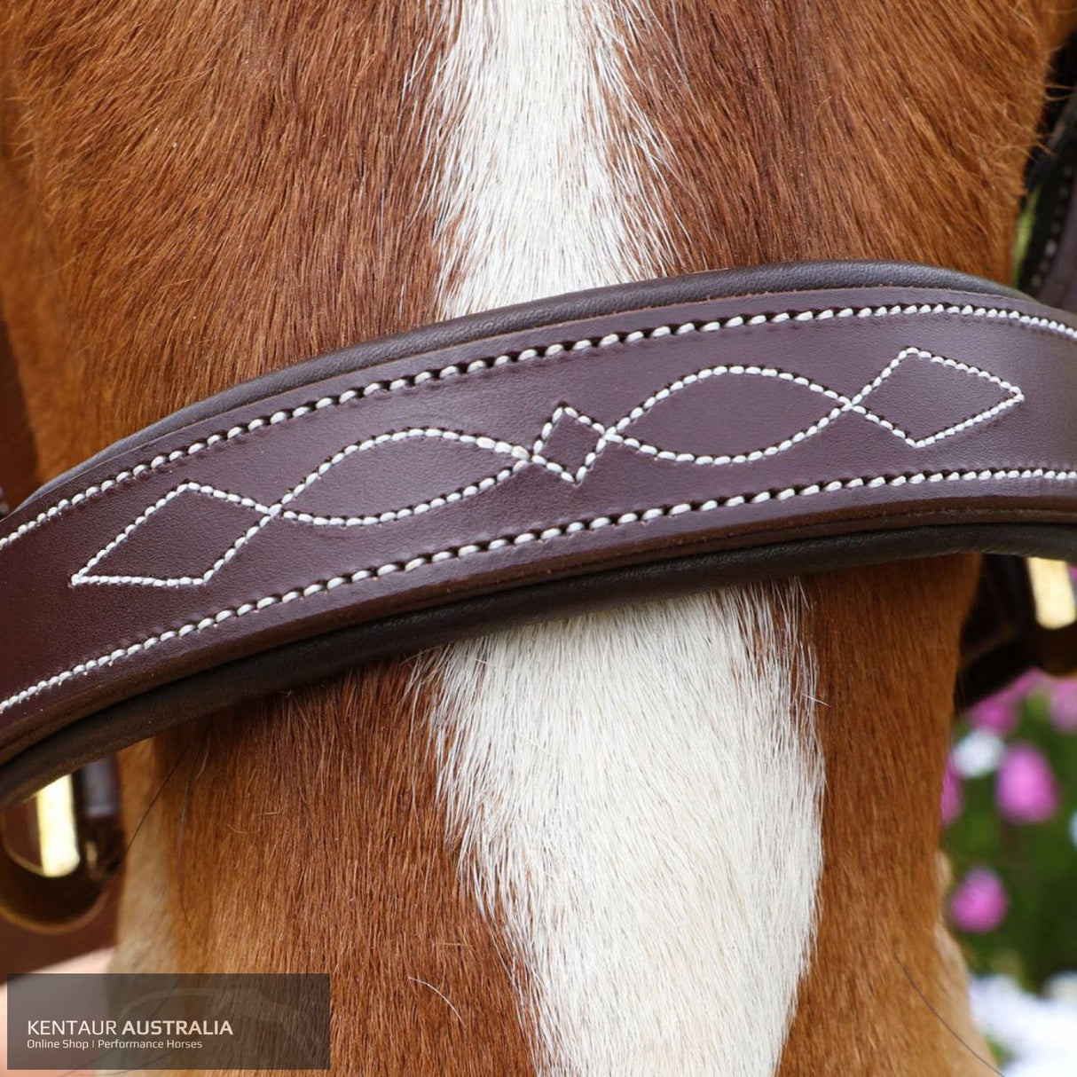 Kentaur Leather Halter with Stitching