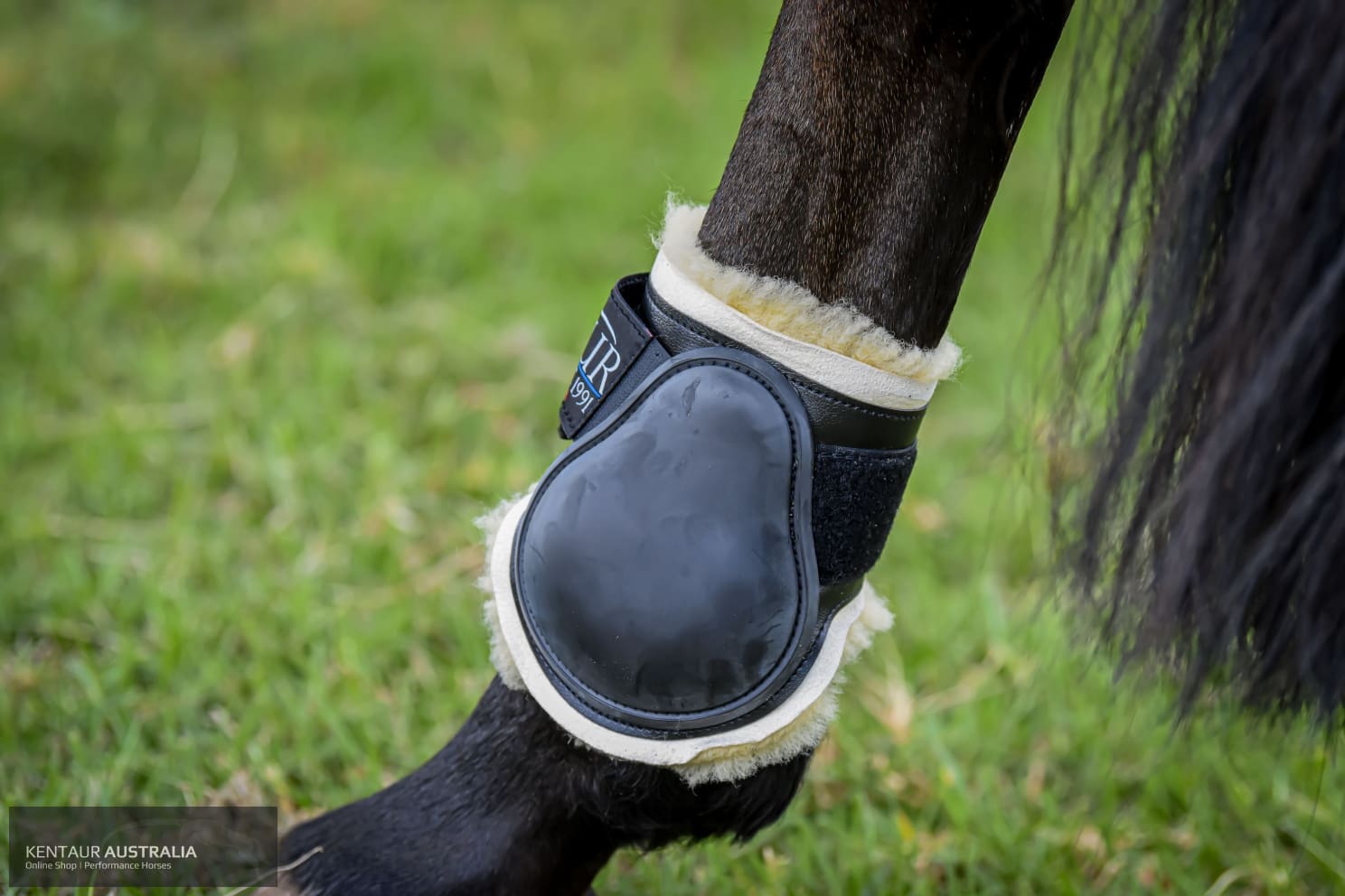 Horse ankle store boots