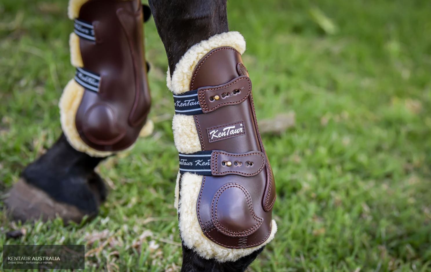 Roma deals boots horse