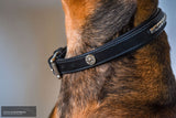 Kentaur 'Semi-Roll' Dog Collar