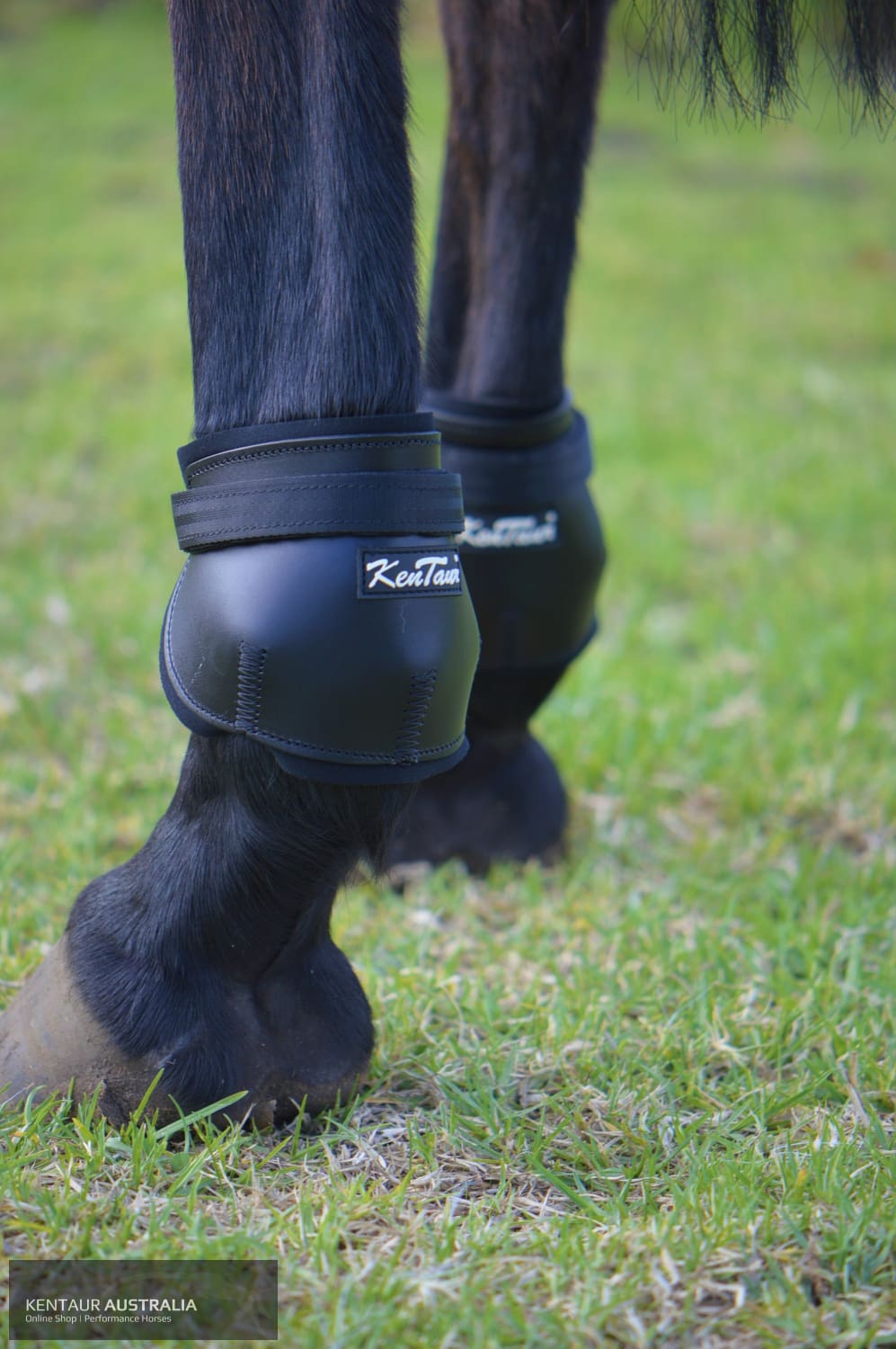 Kentaur Short Leather Hind Pinch Boots