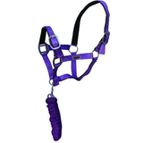Shetland Horse Halter-Ascot Equestrian