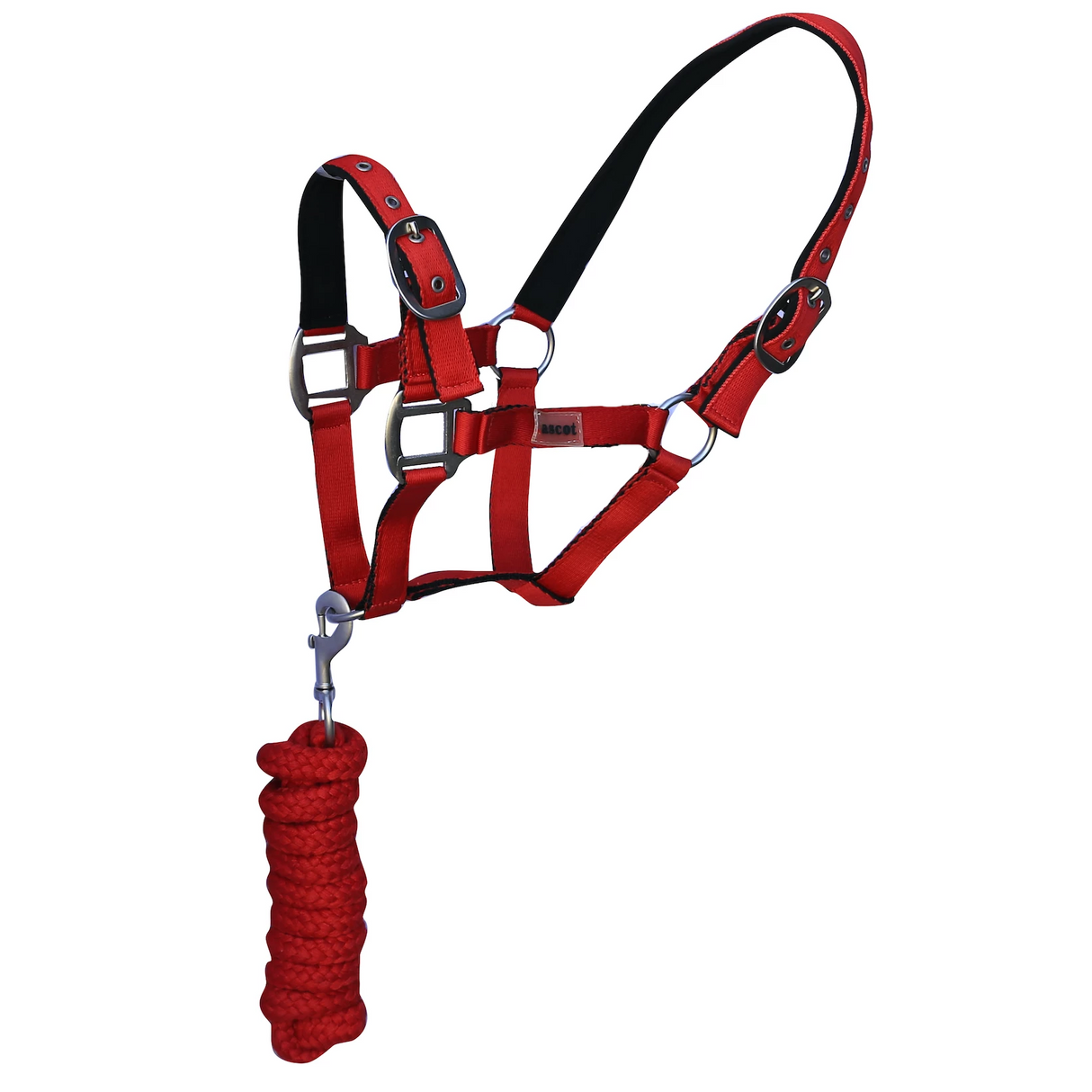 Shetland Horse Halter-Ascot Equestrian